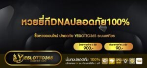 หวยยี่กีDNAปลอดภัย100%